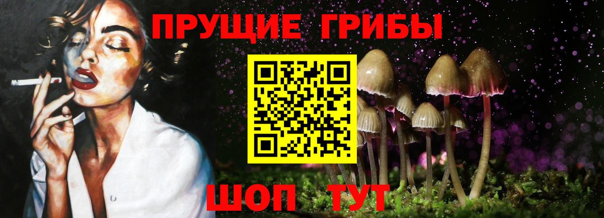 Галлюциногенные грибы прущие грибы Киселёвск