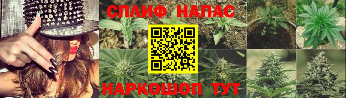 Канабис марихуана Киселёвск